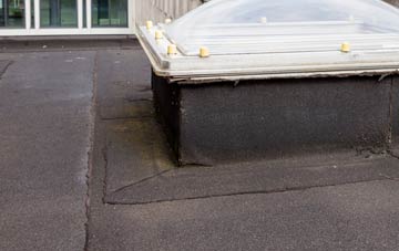 disadvantages of Withdean flat roofs