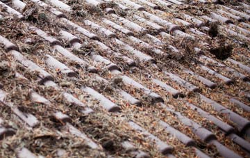 Withdean roof cleaning companies